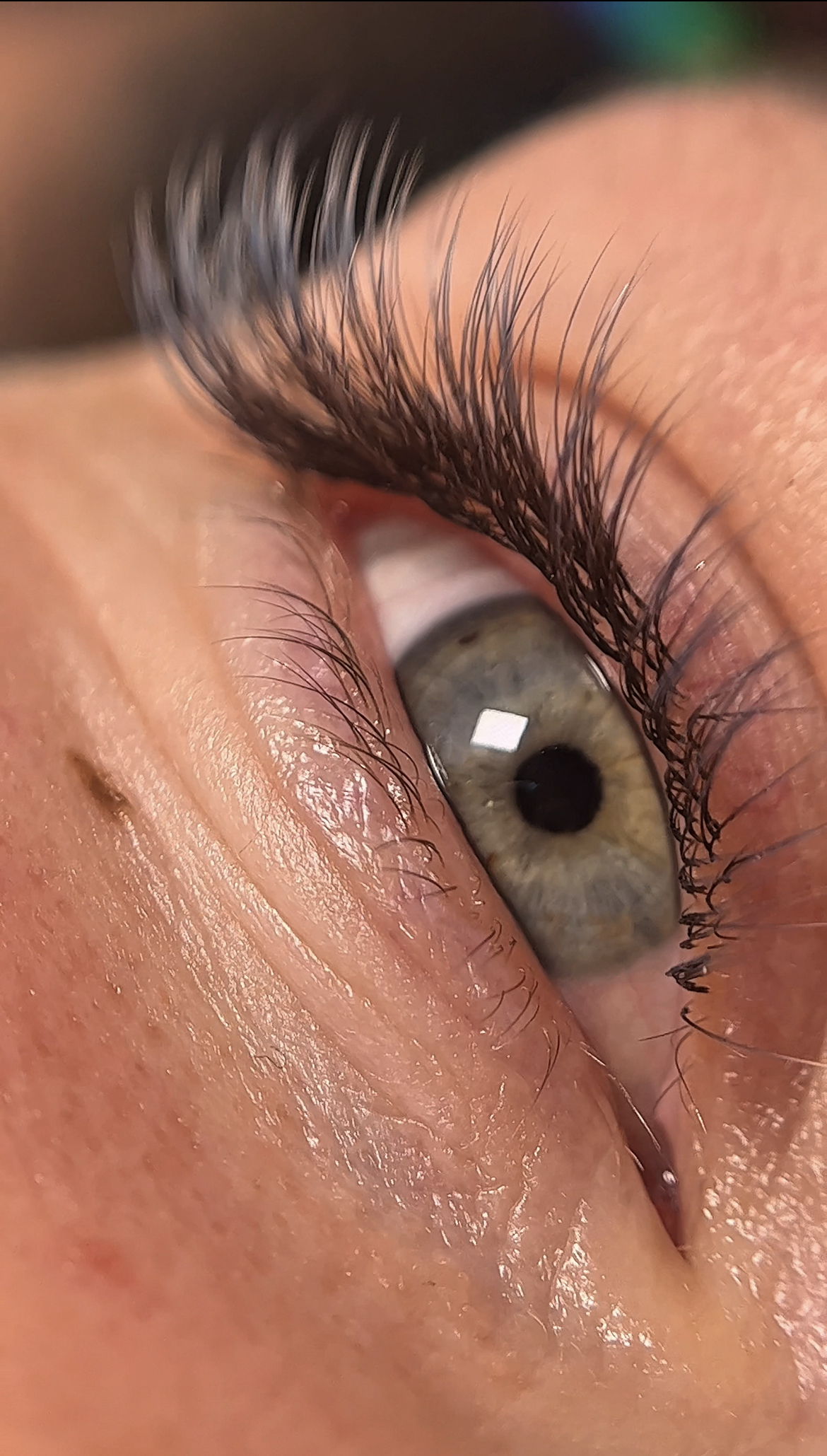 Цветное наращивание - фиолетовые ресницы